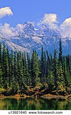 nature vertical image miette mountain range View Large Photo Image Stock Image - nature vertical image miette mountain range . Fotosearch