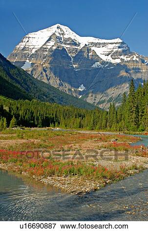 nature vertical image mount robson tallest peak View Large Photo Image Stock Photo - nature vertical image mount robson tallest peak. Fotosearch