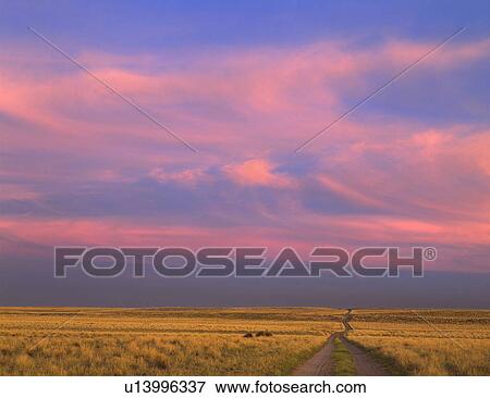 nm road sunset clouds pink gold new mexico bisti View Large Photo Image Stock Photo - nm road sunset clouds pink gold new mexico bisti. Fotosearch