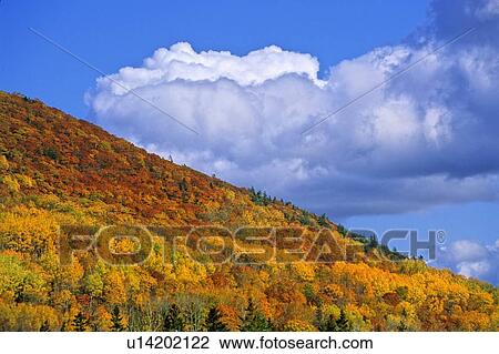 peaceful east coast autumn landscape bright fall View Large Photo Image Stock Image - peaceful east coast autumn landscape bright fall. Fotosearch