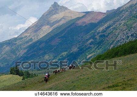 people group trail ride through scenic landscape View Large Photo Image Stock Photograph - people group trail ride through scenic landscape. Fotosearch