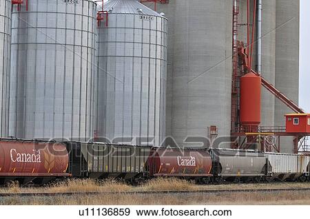 red painted wooden grain elevator stands blue View Large Photo Image Stock Photo -  red painted wooden grain elevator stands blue. Fotosearch