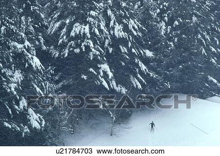 sport man cross country skier dartmouth college View Large Photo Image Stock Image - sport man cross country skier dartmouth college. Fotosearch