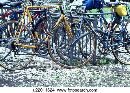 Picture -  spring bicycles dartmouth college bikes bicycle. Fotosearch