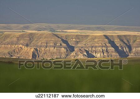 Stock Photo -  summer big muddy valley clouds pasture cattle. Fotosearch