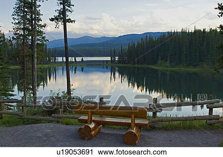 summer nature beauty empty wooden bench calm View Large Photo Image Stock Image - summer nature beauty empty wooden bench calm. Fotosearch