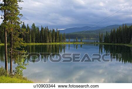 Picture -  summer nature beauty scenic image calm pond end. Fotosearch