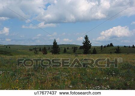 summer nature natural landscape image rolling View Large Photo Image Stock Photo - summer nature natural landscape image rolling. Fotosearch