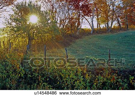 sunrise early morning frosty god rays meadow View Large Photo Image Stock Photograph - sunrise early morning frosty god rays meadow. Fotosearch