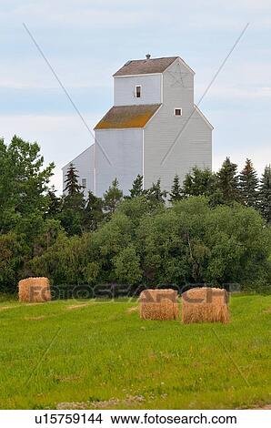 Picture -  tall grain elevator standing behind harvested . Fotosearch