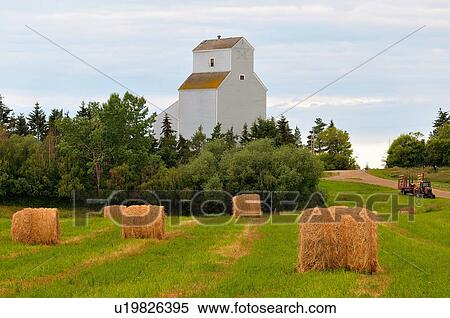 tall grain elevator standing behind harvested View Large Photo Image Stock Photography - tall grain elevator standing behind harvested . Fotosearch