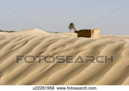 tree house pattern texture sahara desert sand View Large Photo Image Stock Photo - tree house pattern texture sahara desert sand . Fotosearch