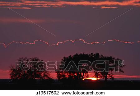 tree spring sun setting behind trees sunset View Large Photo Image Stock Image - tree spring sun setting behind trees sunset. Fotosearch