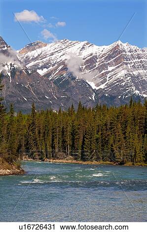 Stock Image -  vertical close up scenic image snowcapped rocky. Fotosearch