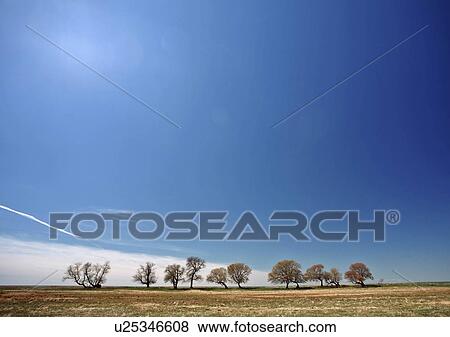 water bare trees shore lake manitoba body fence View Large Photo Image Stock Photo - water bare trees shore lake manitoba body fence. Fotosearch