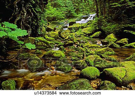 water fresh stream leading west coastal View Large Photo Image Picture - water fresh stream leading west coastal . Fotosearch