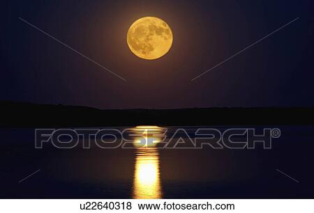 water full moon reflected night buffalo pound View Large Photo Image Stock Photo - water full moon reflected night buffalo pound. Fotosearch