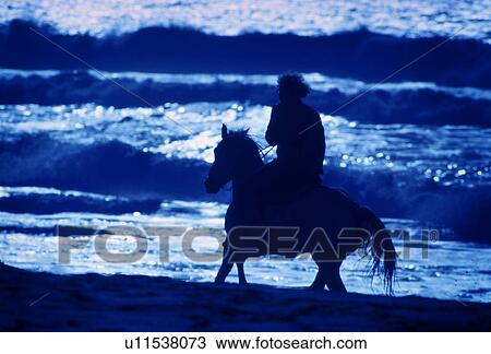 water horse horseback riding single one rider View Large Photo Image Stock Image - water horse horseback riding single one rider. Fotosearch