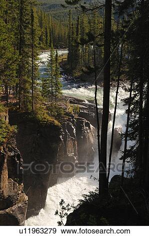 water nature vertical image falls athabasca View Large Photo Image Stock Photo - water nature vertical image falls athabasca . Fotosearch