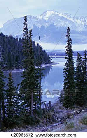 water nature vertical landscape brule lake View Large Photo Image Stock Image - water nature vertical landscape brule lake . Fotosearch