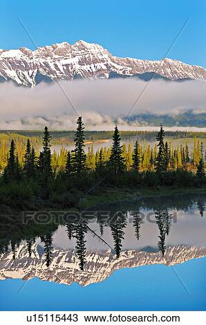 water summer nature misty morning reflection View Large Photo Image Stock Image - water summer nature misty morning reflection . Fotosearch