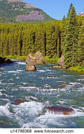 water summer nature vertical image maligne river View Large Photo Image Stock Photo - water summer nature vertical image maligne river. Fotosearch