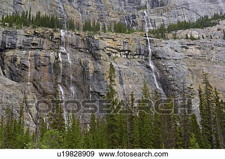 water summer winter horozontal shot weeping wall View Large Photo Image Stock Photo - water summer winter horozontal shot weeping wall. Fotosearch