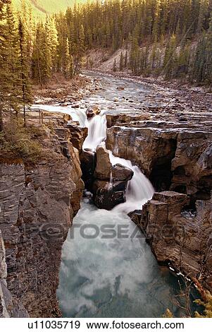 water vertical image world famous sunwapta falls View Large Photo Image Stock Photo - water vertical image world famous sunwapta falls. Fotosearch