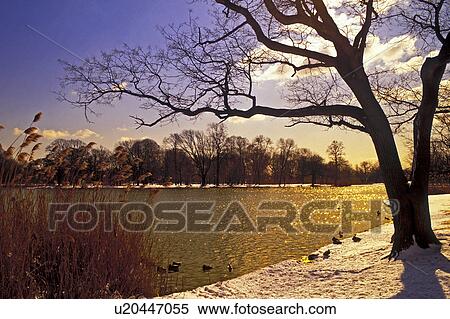 Stock Photography -  winter scene prospect park lake in brooklyn ny . Fotosearch