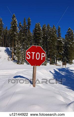 Stock Image -  winter vertical image red highway stop sign . Fotosearch