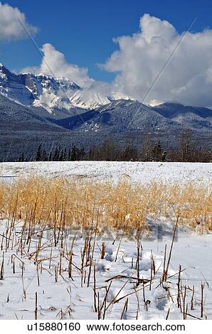 winter vertical landscape image snowcapped rocky View Large Photo Image Stock Image - winter vertical landscape image snowcapped rocky. Fotosearch
