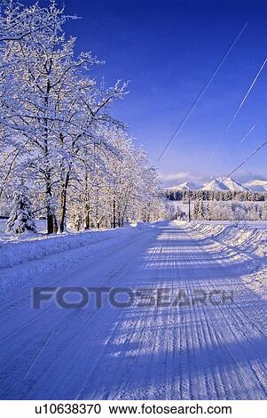 winter vertical shot straight snow plowed road View Large Photo Image Stock Image - winter vertical shot straight snow plowed road. Fotosearch