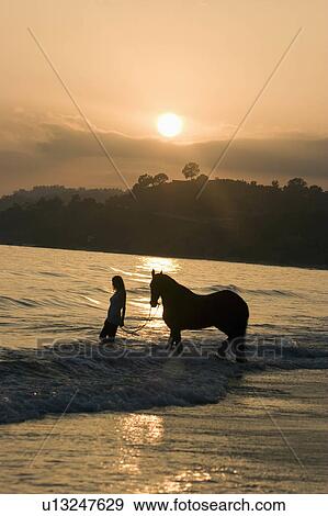 Stock Photo -  woman beach water horse beauty guides through . Fotosearch