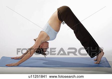 woman beautiful sexy young practices yoga mat View Large Photo Image Stock Image - woman beautiful sexy young practices yoga mat. Fotosearch