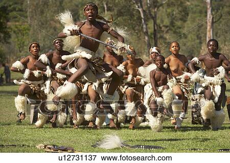 Stock Photo -  women zulu dancing battle talana kwazulu natal. Fotosearch