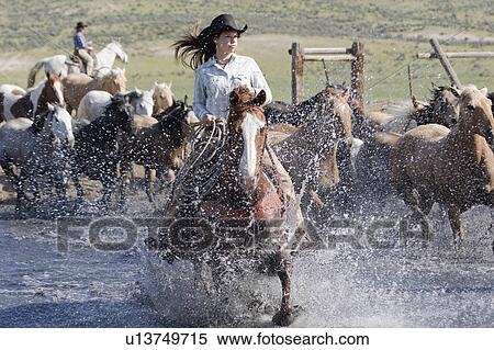 working cowgirl ranch in colorado cowboy hat View Large Photo Image Stock Photography - working cowgirl ranch in colorado cowboy hat. Fotosearch