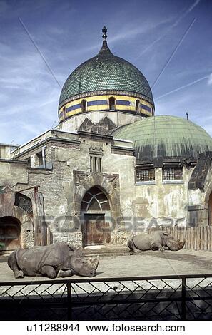 art budapest zoo kroly kos dezse zrumecky View Large Photo Image Picture - art budapest zoo kroly kos dezse zrumecky. Fotosearch