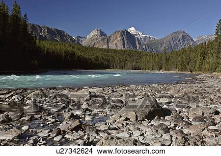 athabasca river in jasper national park maligne View Large Photo Image Picture - athabasca river in jasper national park maligne. Fotosearch