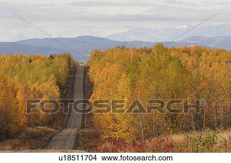 autumn colored trees road in british columbia View Large Photo Image Picture - autumn colored trees road in british columbia. Fotosearch