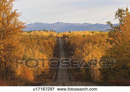 Stock Photo -  autumn colored trees road in british columbia. Fotosearch