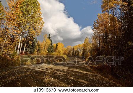 Stock Image -  autumn colors northern british columbia road. Fotosearch