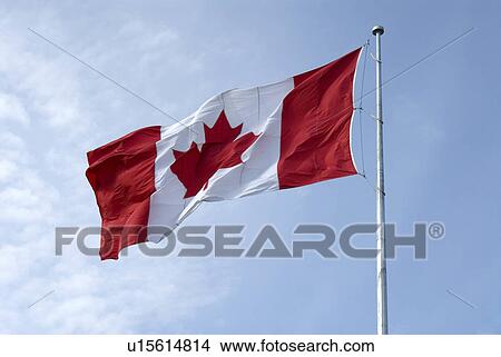 Picture -  background icon leaf canadian maple flag blue. Fotosearch