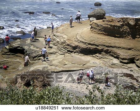 beach people sun lots enjoying tidepools ocean View Large Photo Image Stock Image - beach people sun lots enjoying tidepools ocean. Fotosearch