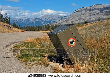 bear proff garbage container pull out spot View Large Photo Image Stock Image - bear proff garbage container pull out spot . Fotosearch