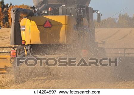 close up image back end combine harvester View Large Photo Image Stock Photo - close up image back end combine harvester . Fotosearch