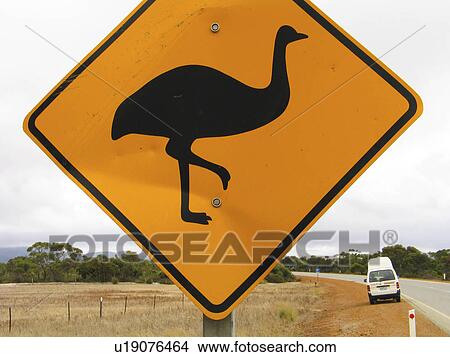 emu crossing funny symbolic orange highway sign View Large Photo Image Picture -  emu crossing funny symbolic orange highway sign. Fotosearch