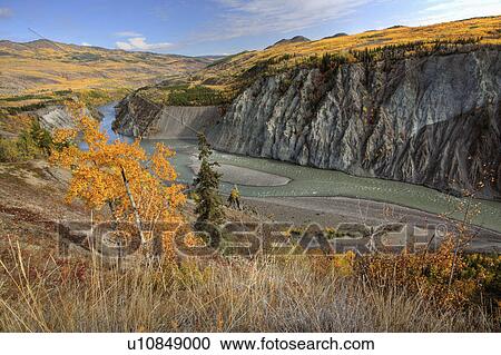 Stock Image -  face autumn colors stikine river in northern. Fotosearch