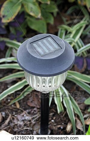 fitness gardening solar powered garden light View Large Photo Image Stock Photo - fitness gardening solar powered garden light. Fotosearch