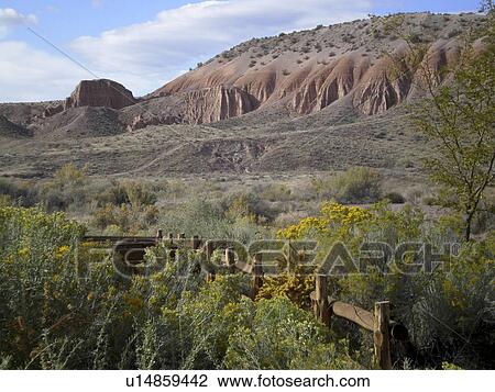 Stock Image -  flowers spring fence state park eroded hills . Fotosearch