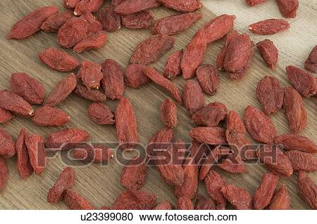 food fruit gojibeeren chinese boxthorn asia View Large Photo Image Stock Image -  food fruit gojibeeren chinese boxthorn asia. Fotosearch